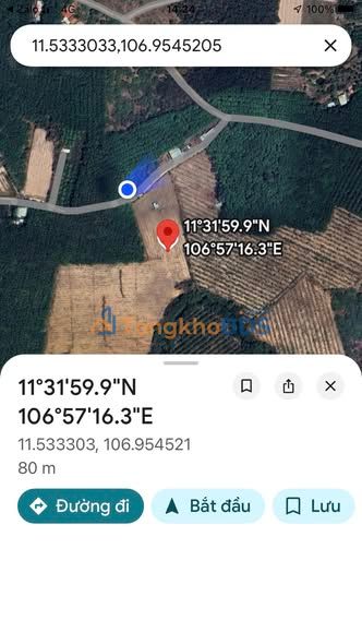 Farm Cao Su 3.2ha Xã Đồng Tiến, Bình Phước - Giá 8x Tỷ