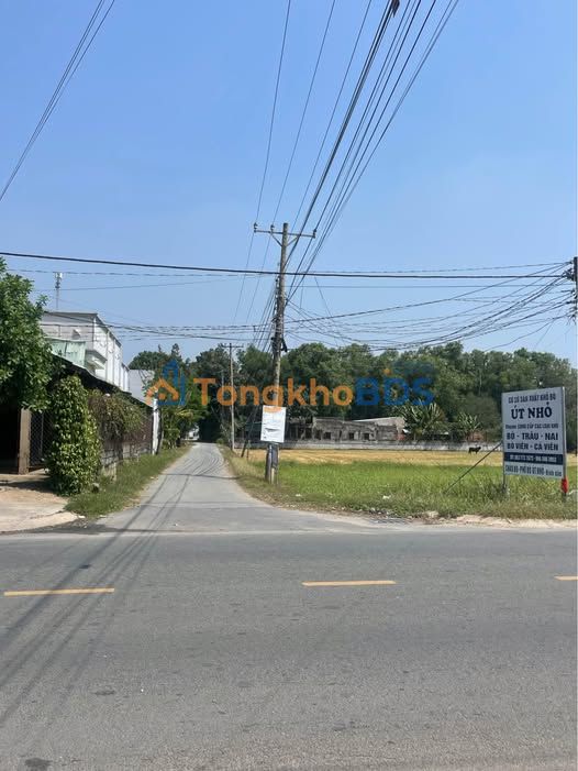 Đất nền Hậu Nghĩa 500m² giá 1.5 tỷ - Sổ đỏ chính chủ, đường ô tô vào đến đất