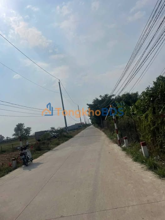 Đất vườn Long Hựu Tây 600m² 500 triệu - Tiềm năng tăng giá