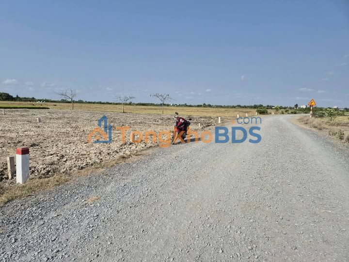 Đất Thổ Cư Cần Đước 127m² - Sổ Hồng Sẵn Sàng, Giá Đầu Tư 780 Triệu