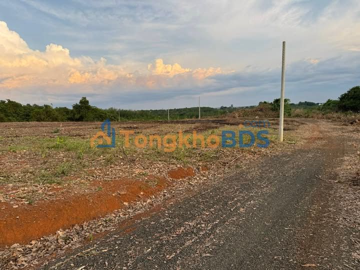 Đất Vàng Đồng Phú, Bình Phước - 1080m² Mặt Tiền 30m, Giá 320 Triệu