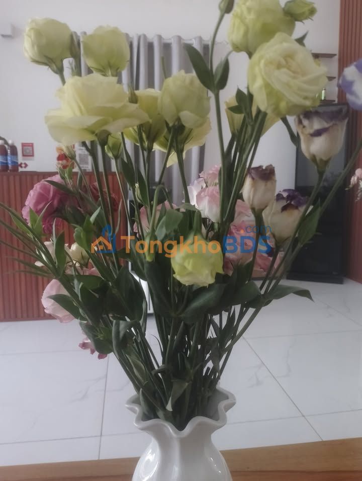 Bán đất 161m² đất ở đô thị đường Nguyễn Hoàng, Tam Kỳ - Giá 1.2 tỷ