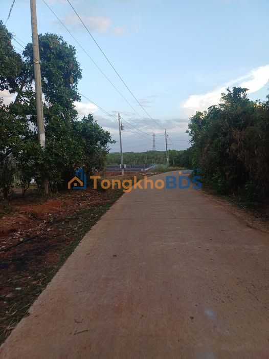 Đất Nền 100m² Đức Liễu, Bình Phước - Sổ Đỏ Riêng, Giá 150 Triệu