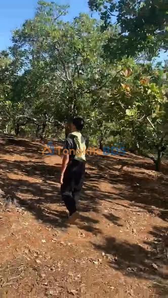 Bán Đất Farm Đăk Nhau, Bình Phước - 10.000m² Sổ Đỏ, Giá 760 Triệu