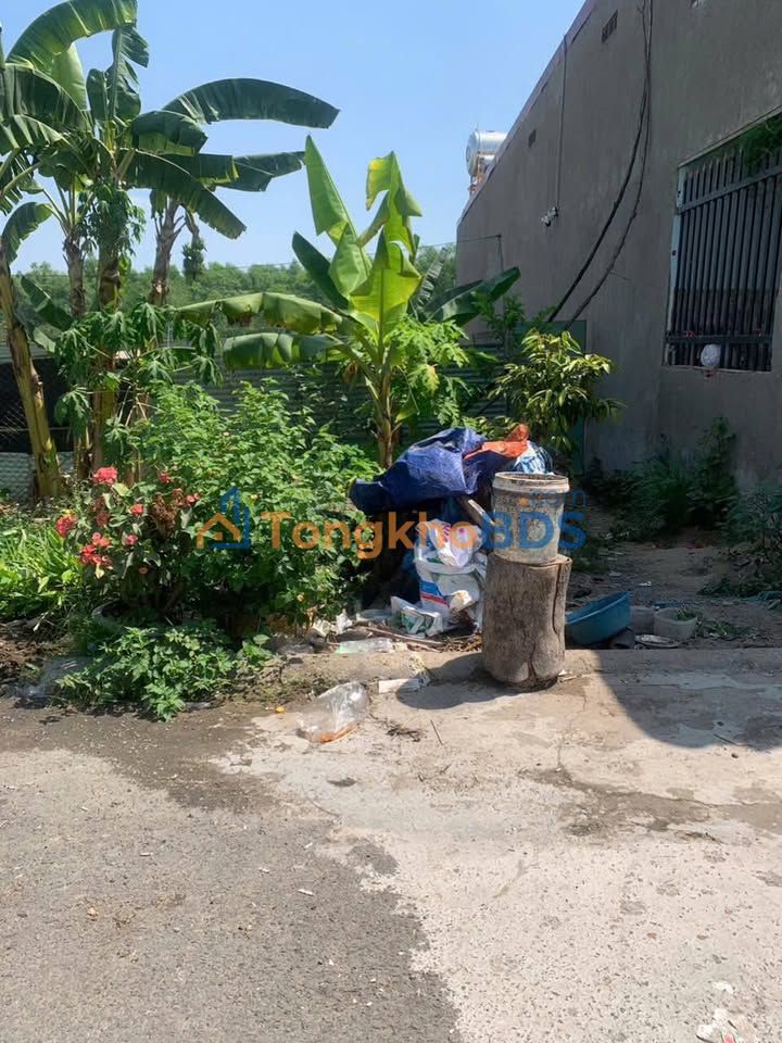 Đất Sổ Chung Biên Hòa 195m² Giá 1.05 Tỷ - Tổ 13 Tam Phước