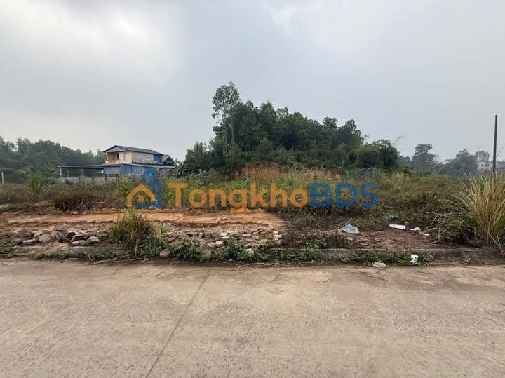 Đất nền Phú Xá, Phổ Yên 116m² hướng Bắc - Tiềm năng đầu tư, an cư lý tưởng