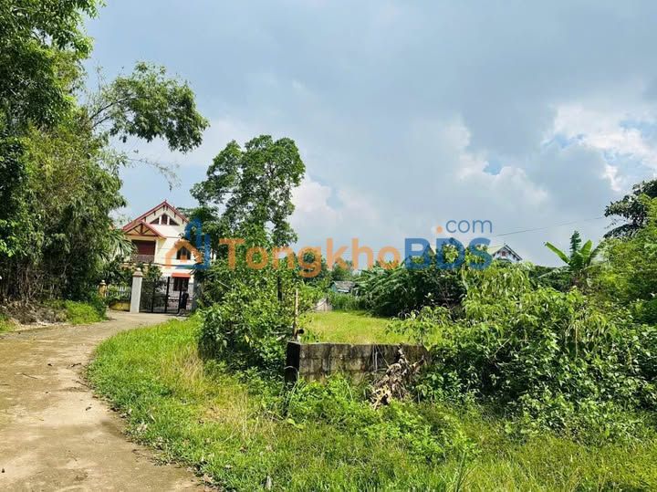 Bán Đất Phổ Yên 1166m² - Sổ Đỏ Thổ Cư Sẵn Sàng