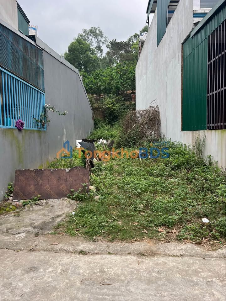 Đất thổ cư Việt Đoàn Tiên Du 96m² 1 tỷ - Sổ đỏ chính chủ