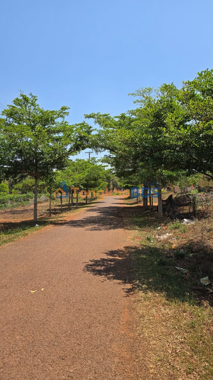 Đất nền KBang Gia Lai 10.500m² giá 749 triệu - Đất thổ cư 100%