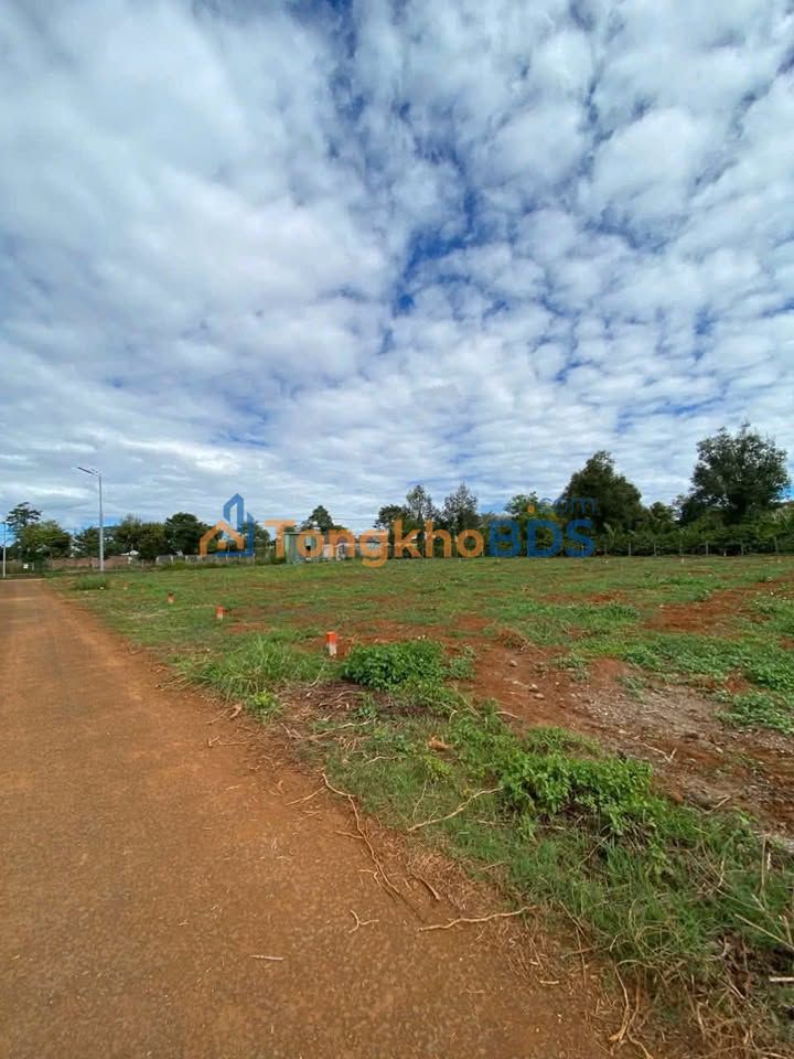 Đất nền Trà Đa Pleiku 150m² 586 triệu - Sổ đỏ chính chủ