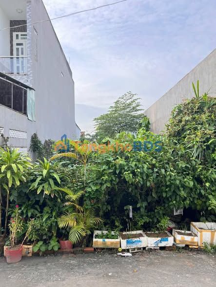 Bán cặp nền 200m² full thổ cư Hẻm Trần Vĩnh Kiết, Cần Thơ - Giá tốt