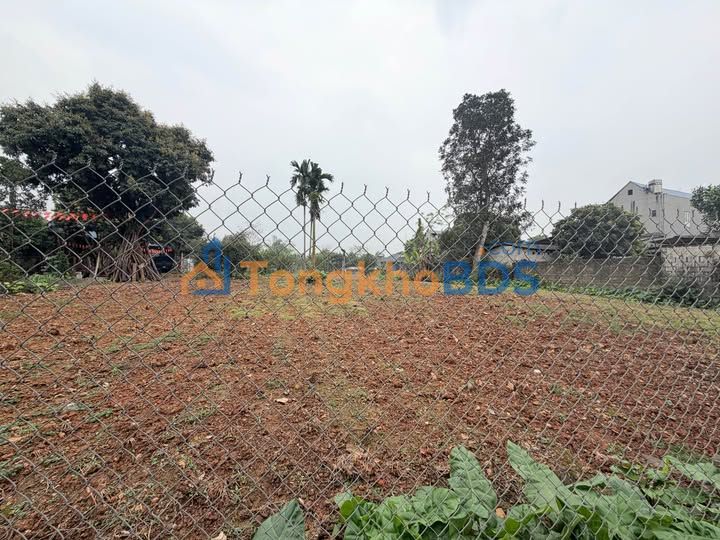 Đất nền Phổ Yên 1300m² Tố Hưu - Sổ đỏ thổ cư, kinh doanh tiềm năng