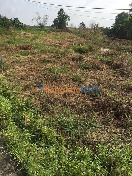 Bán Nền 350m² Hậu Giang - Sổ Đỏ Sẵn Sàng, Giá Đầu Tư 350 Triệu