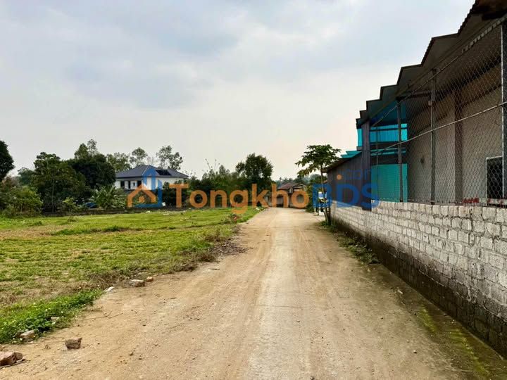 Đất nền Tam Dương 125m² 600-699 triệu - Sổ đỏ chính chủ