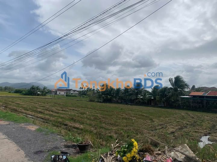 Đất thổ cư Ninh Hòa 100m² - Sổ hồng riêng, giá chỉ từ 700 triệu