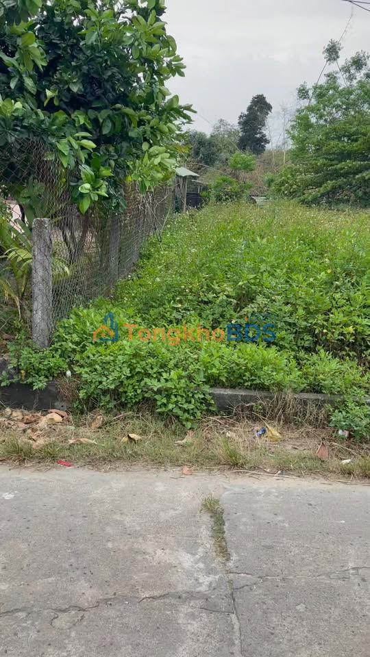 Đất Mặt Tiền Hương An, Quế Sơn (Nay Là Xuân Phú, Đà Nẵng) 125m² - Giá Tốt