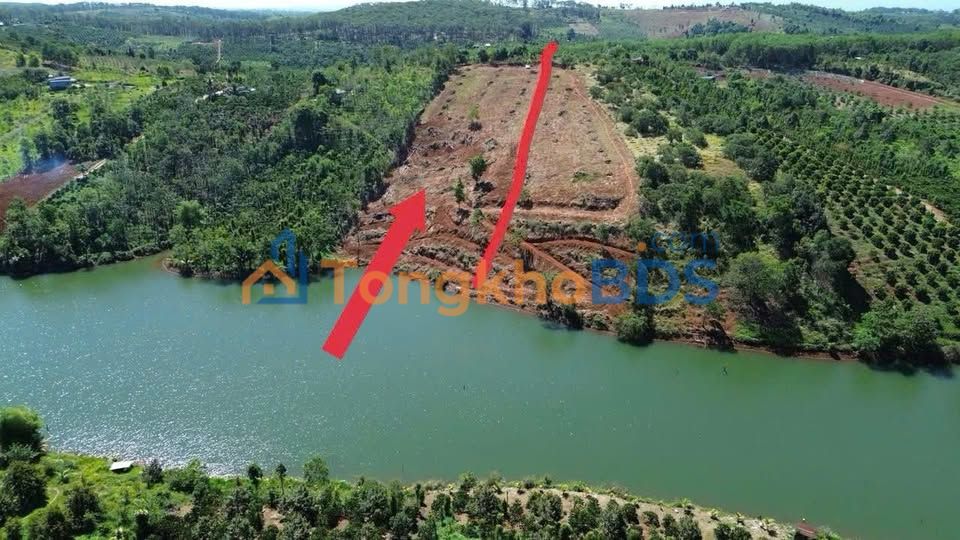 Farm 8000m² View Hồ Đồi Thông - Đắk Nông Giá 1.6 Tỷ