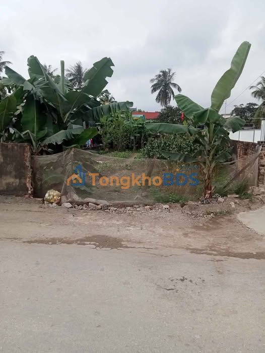 Bán Đất Lô Góc Quảng Đông, Thanh Hóa - 128m² - Giá 2 Tỷ Hơn