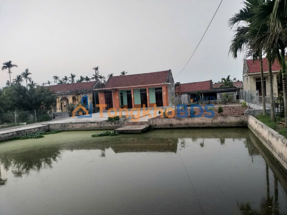 Nhà Hải Đông Hải Hậu 760m² chính chủ bán gấp nhà vườn