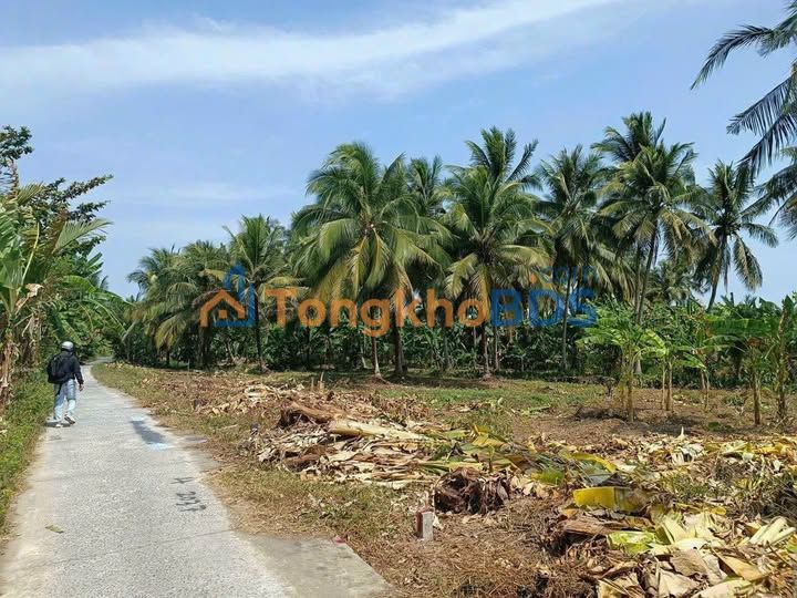 Bán Nền Sóc Trăng 115m² Sổ Hồng Riêng - Giá Chỉ 199 Triệu