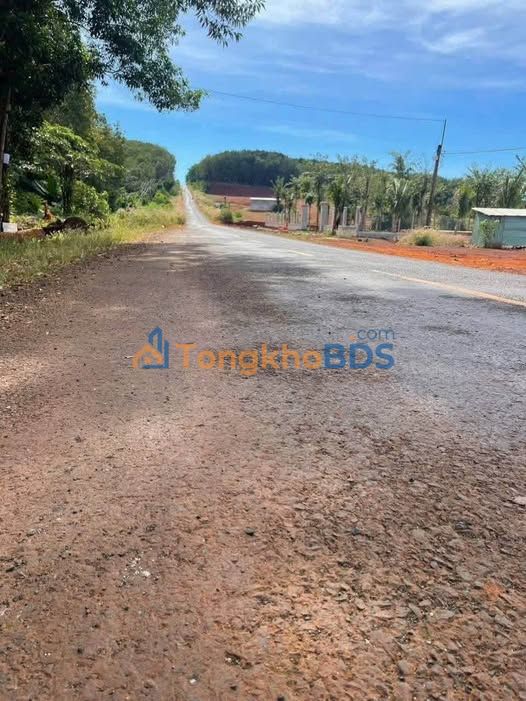 Đất Mặt Tiền Đường 753 Đồng Phú - Kinh Doanh Đắc Lợi, Sổ Hồng Sẵn Sàng