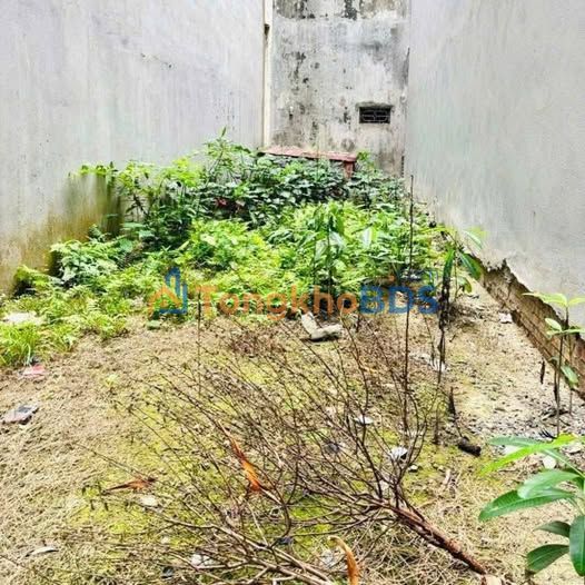 Bán đất xây CCMN 70m² gần Royal City, Hà Nội - Dòng tiền 13 tỷ