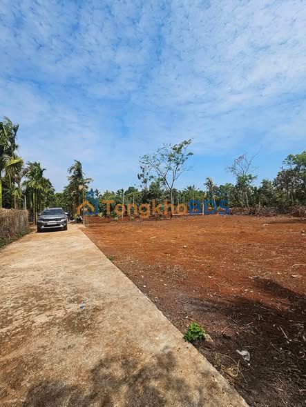 Đất Vườn Đắk Lắk 1050m² - Sổ Hồng Thổ Cư, Gần Trường Cao Bá Quát, Giá 3.8 Tỷ