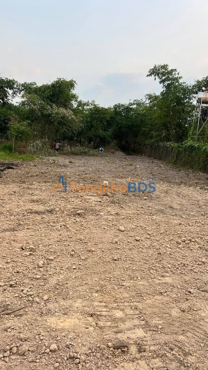 Đất nền Hiệp Tân Hòa Thành 170m² 480 triệu - Sổ đỏ chính chủ