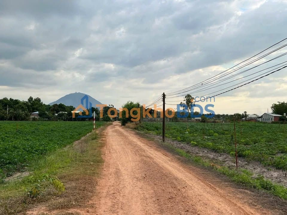 Đất Nền Tân Biên Tây Ninh 1100m² Sổ Hồng Sẵn - Giá Chỉ 269 Triệu