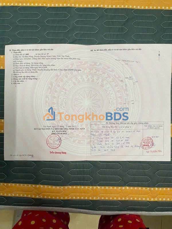 Bán Đất Vàng 1050m² Phường Ninh Thạnh, Tây Ninh - Sổ Hồng Riêng, Giá 1.26 Tỷ