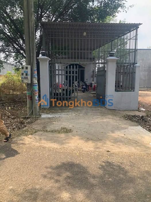 Nhà 1250m² KP5 Tiến Thành, Đồng Xoài - Giá 900 triệu, Sẵn Sàng Ở Ngay