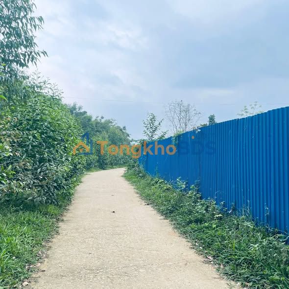 Farm 2000m² Hợp Tiến, Thái Nguyên - Sẵn Sàng Khai Thác, Mặt Tiền 100m