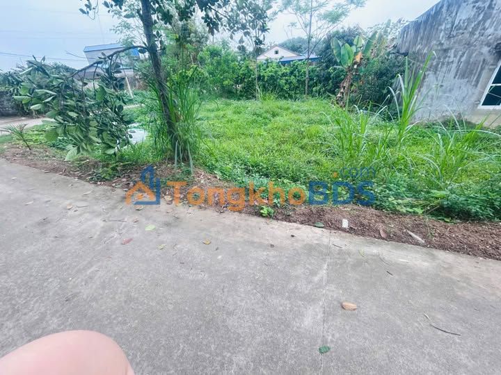 Dat lang Mon An Khanh 352m2 1.X ty - Duong to o to