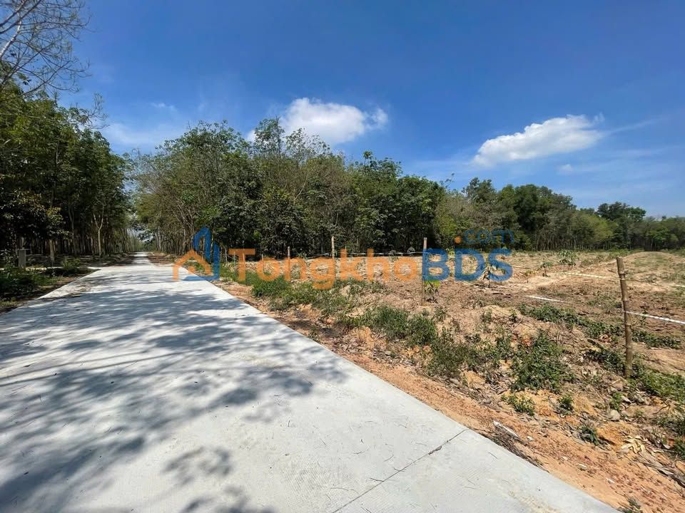 Bán Đất Vườn 18000m² Chánh Phú Hòa, Bến Cát - Giá 32 Tỷ