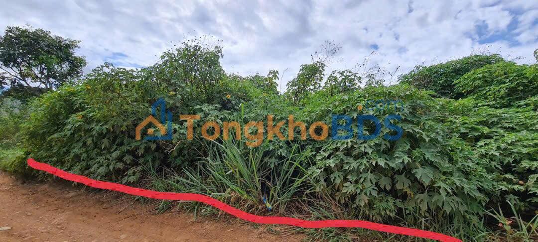 Đất nền Phú Hội, Đức Trọng 415m² 850 triệu - Sổ đỏ chính chủ