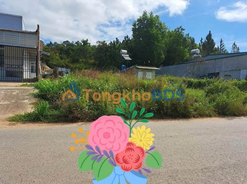 Đất nền Đạ Ròn Đơn Dương 278m² giá 1.2 tỷ - Sổ đỏ chính chủ