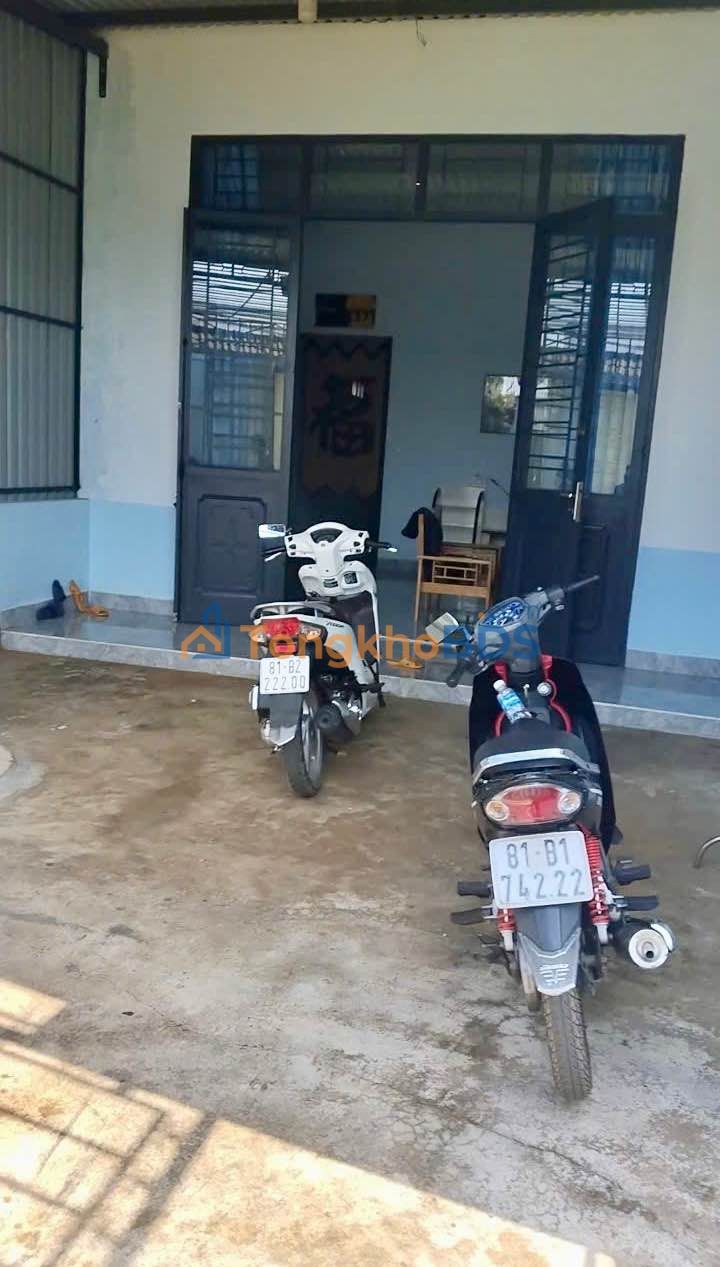 Nhà Cấp 4 Hẻm 400 Trường Sơn, Gia Lai - 175m² Thổ Cư, Sẵn Sàng Ở Ngay