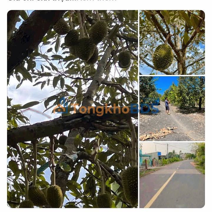 Đất nền Đông Hòa Trảng Bom 1000m² 8xx triệu - Giá tốt