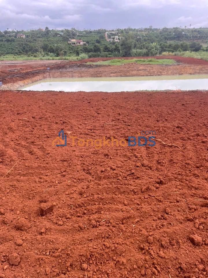 Bán Đất Vườn Lâm Hà 8100m² - Sẵn Sổ Đỏ, Giá 2.9 Tỷ