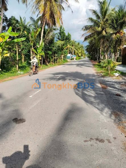 Bán Đất Mặt Tiền Lộ Ngang 4100m² Bến Tre - Giá F0 8.2 Tỷ