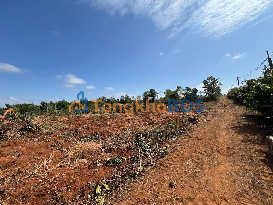 Đất vườn Trương Định An Phú 1.440m² 400 triệu - Sổ hồng rõ