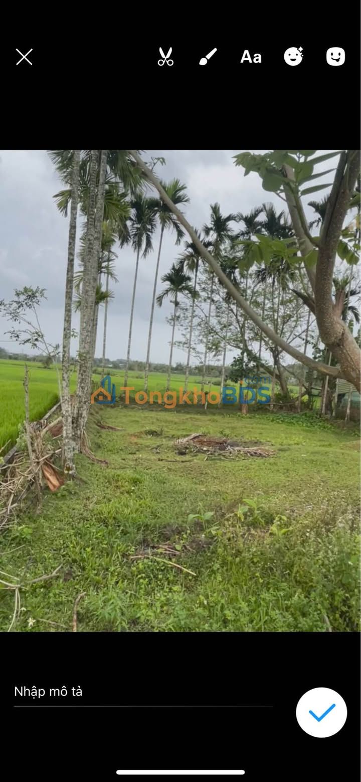 Đất Nền Tam Hải Quảng Nam - Sổ Đỏ 131m² - Giá F0 Chỉ 3xx Triệu