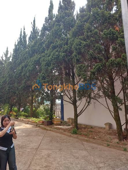 Nhà Nguyên Căn Đà Lạt - 70m² 2PN, Sân Rộng Đậu Oto - Giá 5 Triệu/Tháng