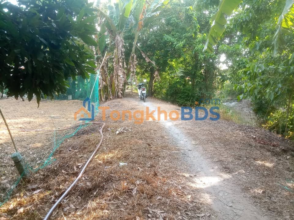 Đất Nền Sổ Hồng Sẵn 311m² Tân Hòa, Lai Vung - Chỉ 400 Triệu