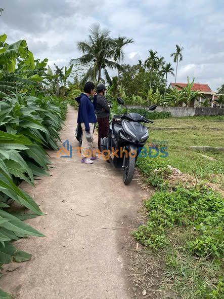 Đất nền 117m² Xã Tân Tiến, Yên Sơn - Giá đầu tư chỉ 2xx triệu