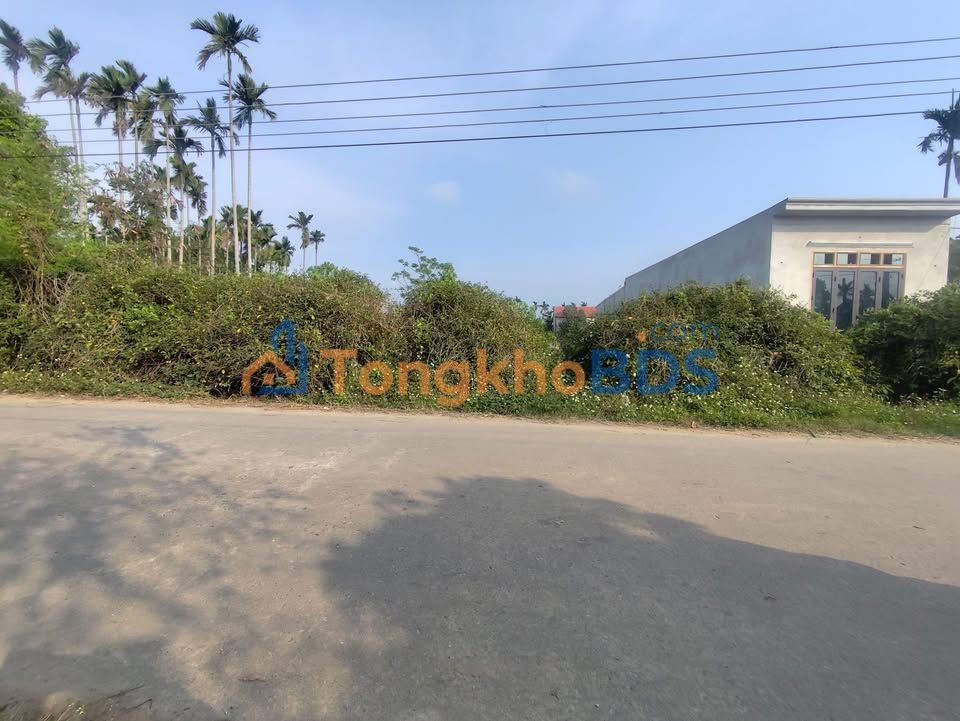 Đất nền Đường Ngự Hàm Nga Thanh 340m² thỏa thuận - Đường to ô tô