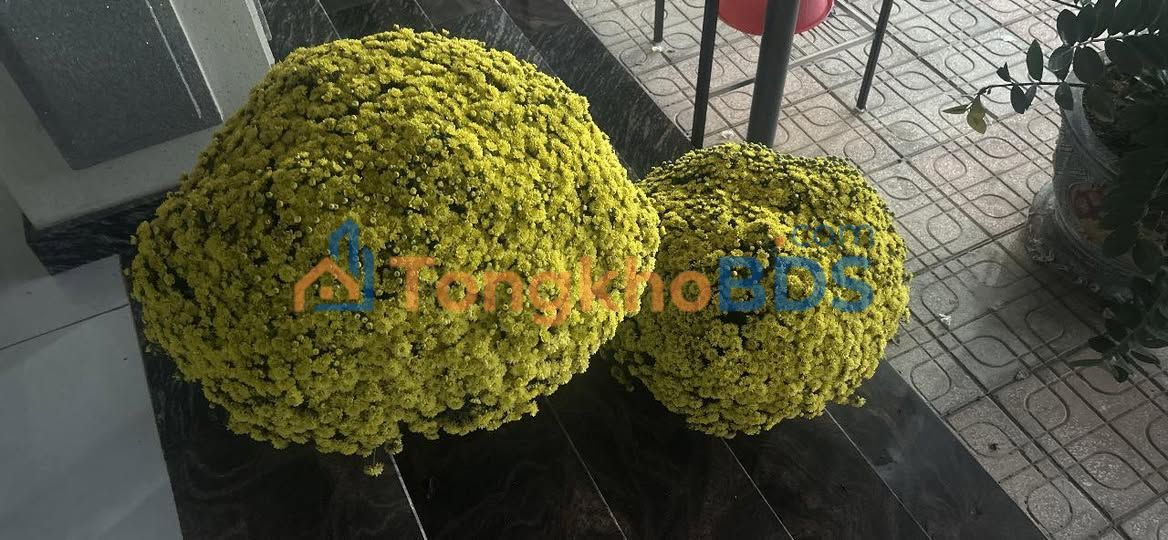 Đất 659m² Mặt Tiền Đường Nhựa Suối Phú Giáo - Giá Tốt 1.2 Tỷ