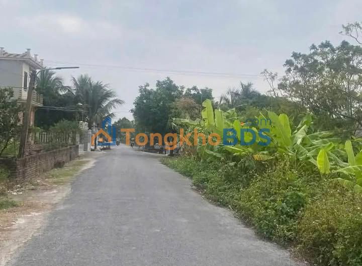 Đất đấu giá Nam Thái Ninh, Thái Thụy 100m² - Cơ hội đầu tư sinh lời