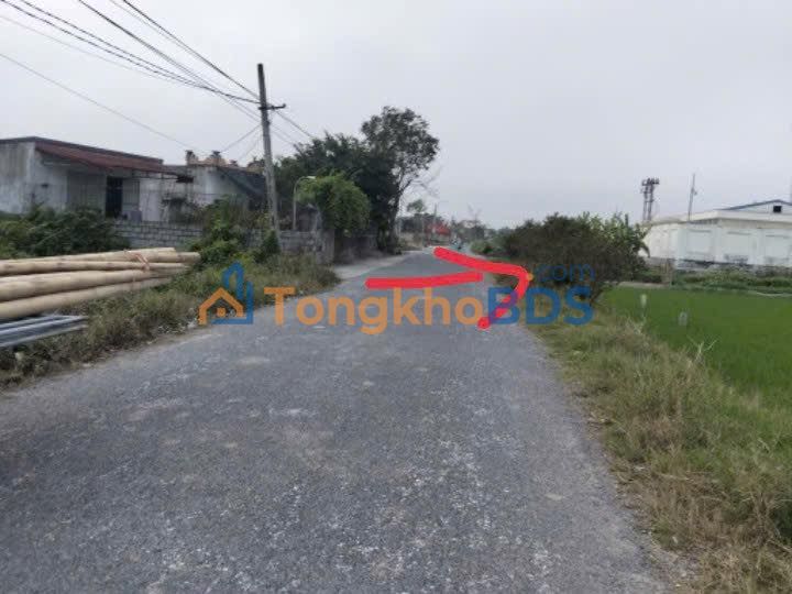 Đất Nền Thái Thụy, Thái Bình 125m² - Sổ Đỏ Sẵn Sàng Đầu Tư Sinh Lời