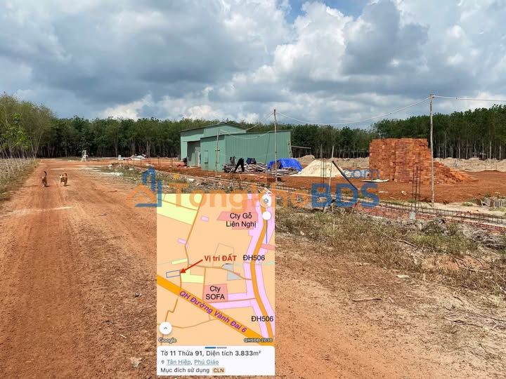 Bán Gấp Farm 3600m² Tân Hiệp, Phú Giáo - Giá Chỉ 2 Tỷ TL